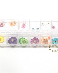 Dry Flowers Nail Art