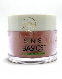 SNS Powder B113