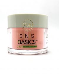 SNS Powder B133