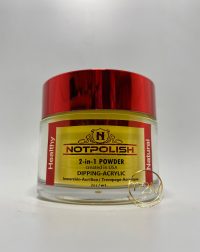 NotPolish Powder M16-Dream Catcher