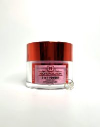 Notpolish Powder-OMG#22-NICE&PLUM