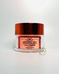 Notpolish Powder-OMG#29-GO GLITTER